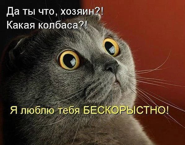 ecjbf4.webp