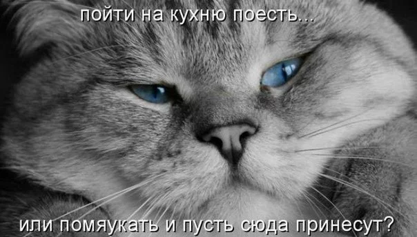 ecjd8e.webp
