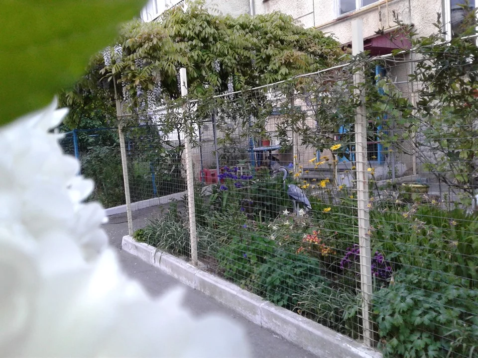 ecjj5h.webp