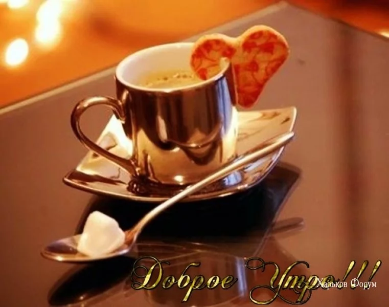 ed04fa74b4c49c7a7d8251.webp