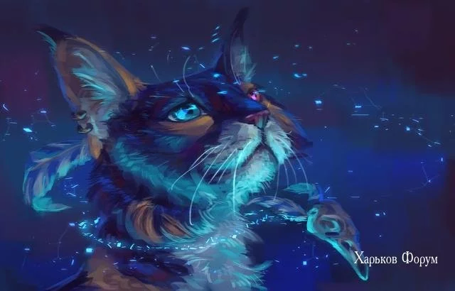 ed206f744166ff94dfd.webp