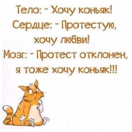 ed3f5aa1e478bd04.webp
