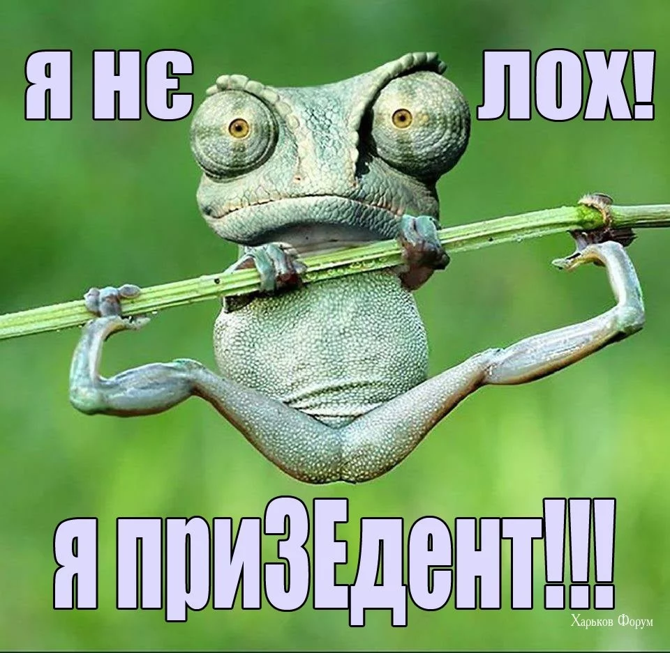 ed76cc4e760fd831.webp