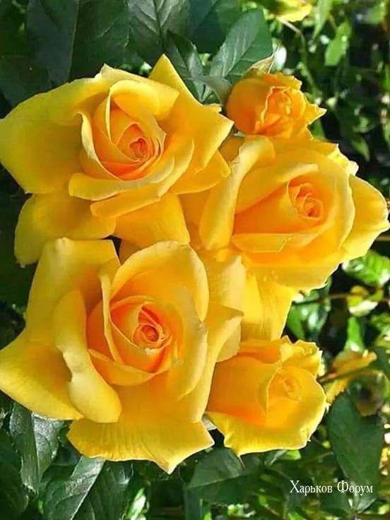 ed7c6bcf0c30b976b36.webp