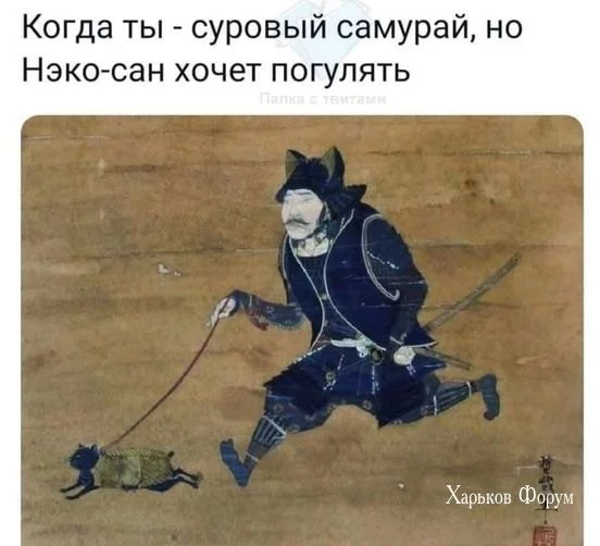 ed7cfcdbfc3f59f459fa864.webp