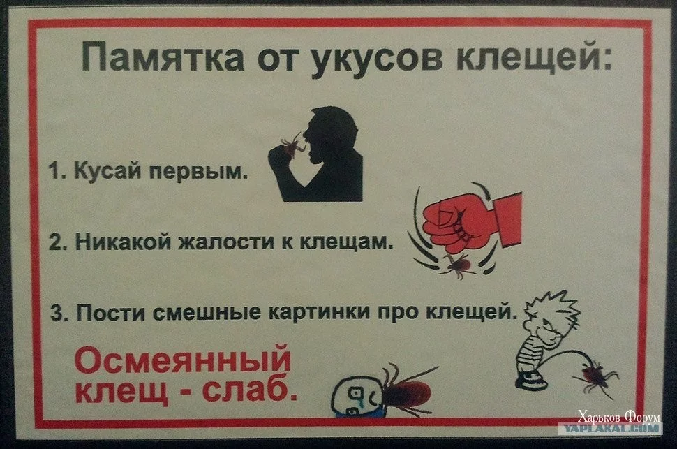 ed80e411a0c8a3fa053eb.webp