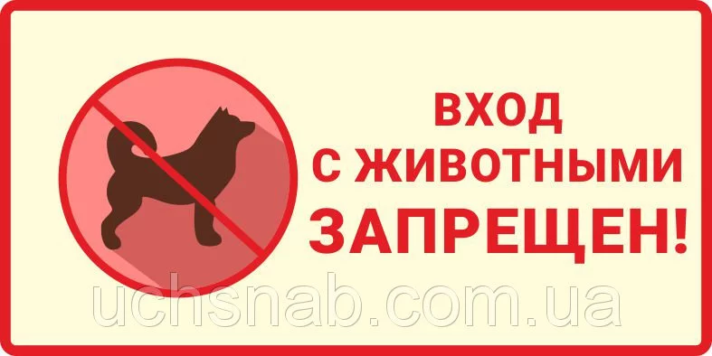 ed8baf.webp