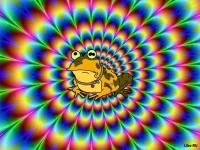 ed9cfj.webp