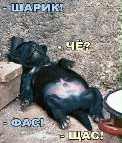 eda1ac.webp