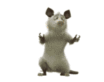 eda414248c2bc8e1.gif