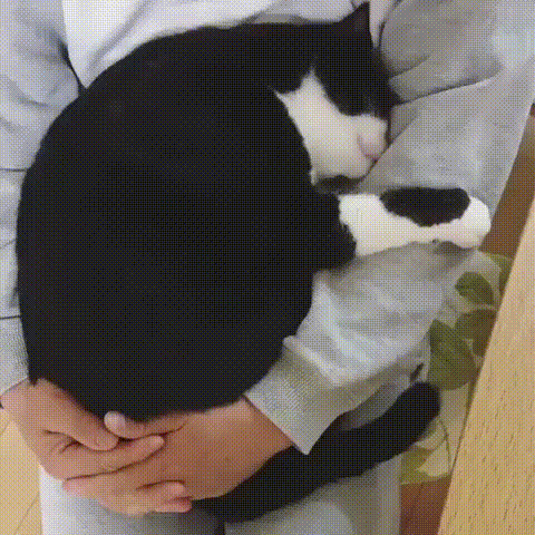 edacb8.gif