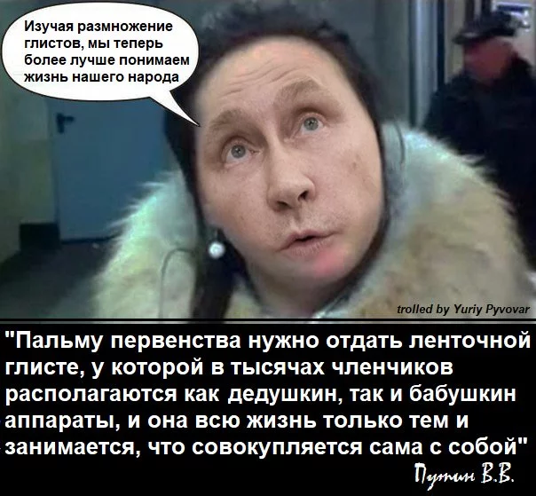 edaga2.webp