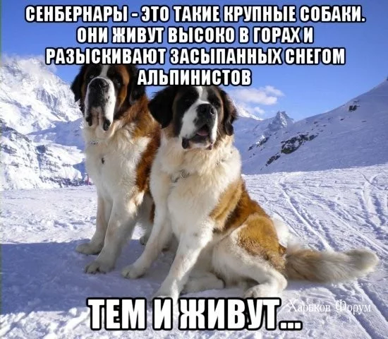 edb2e1293ad4bf146307e.webp