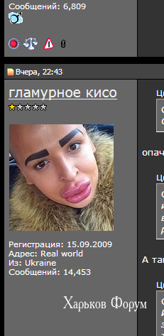 edb49e08bb0e4619c4.png