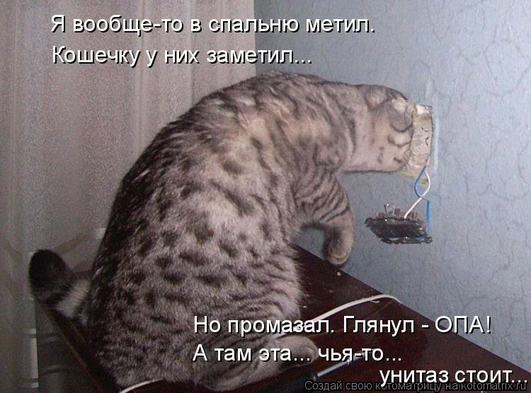edc4fb.webp