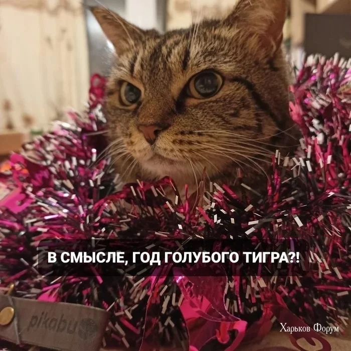 edca30f07cba0060d3387f75.webp