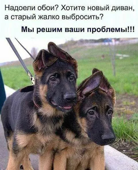 edcdg5.webp