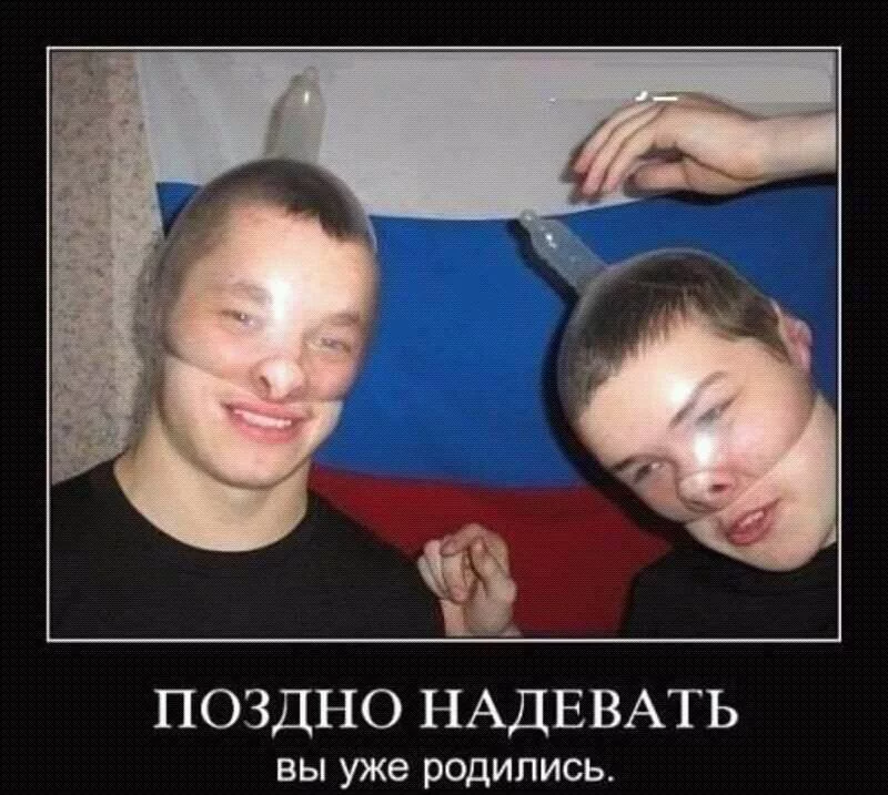 edd8ge.webp