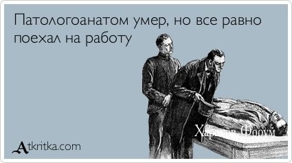eddda12dde328e3b19d.jpg