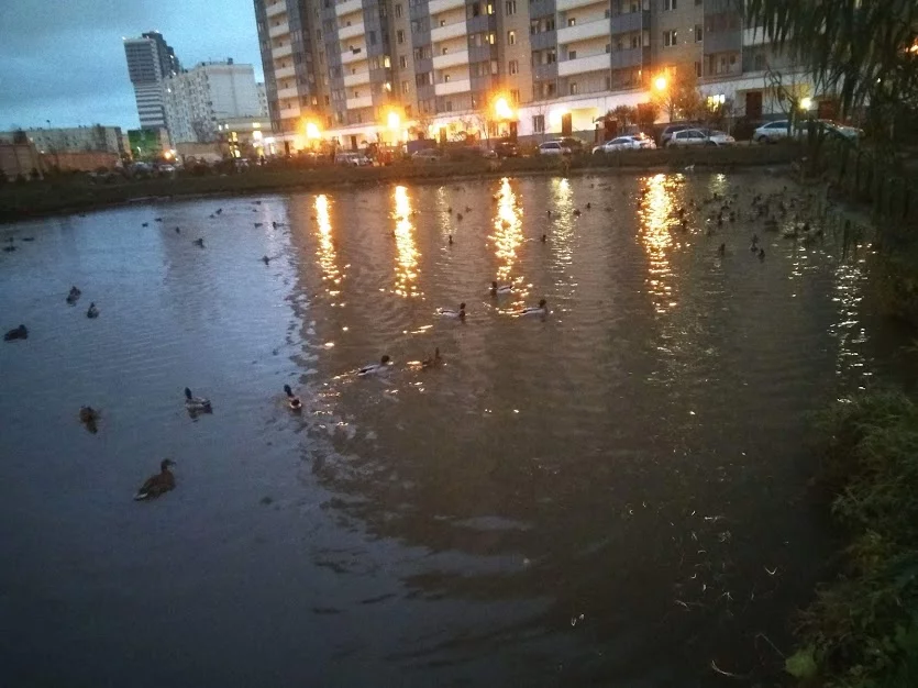 edej6j.webp
