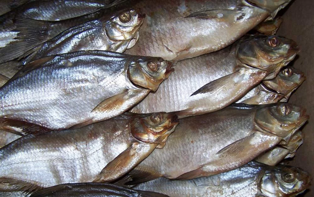 edf9bf.webp