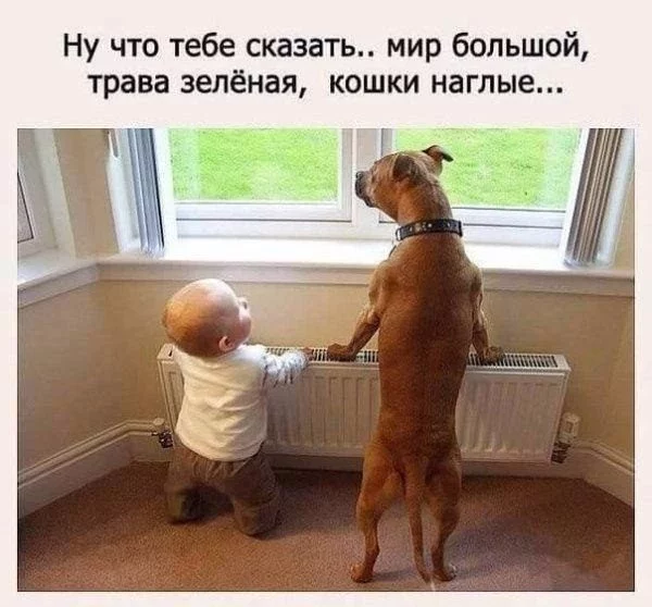 edg3bj.webp