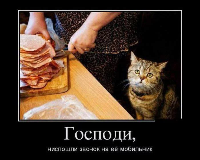 edh0ee.webp
