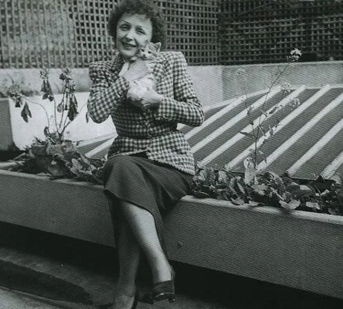 edith-piaf-cat.webp