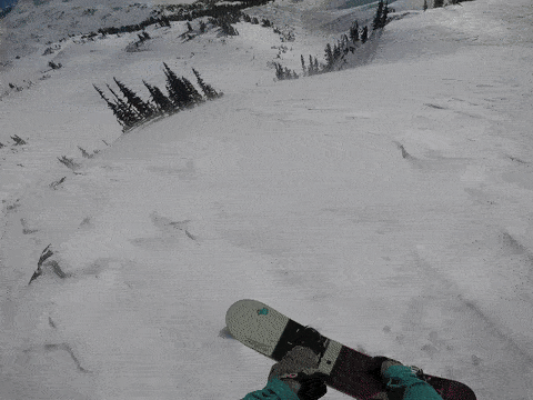 edjge5.gif