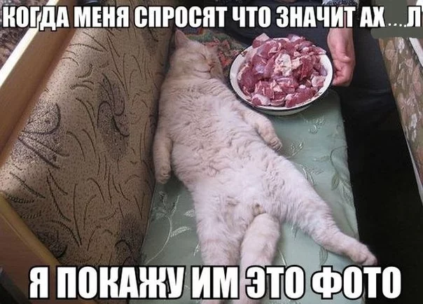 eDTi53vGPoQ.webp