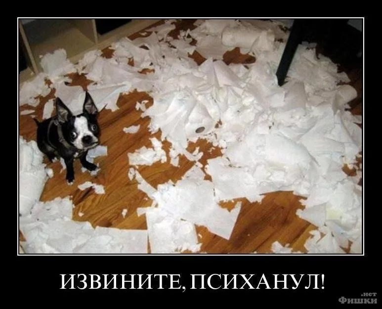 ee0bdh.webp