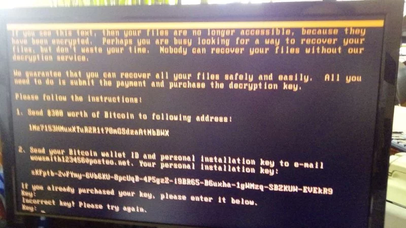 ee0cef.webp