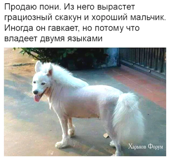 ee10d814188806f0174fe963.webp