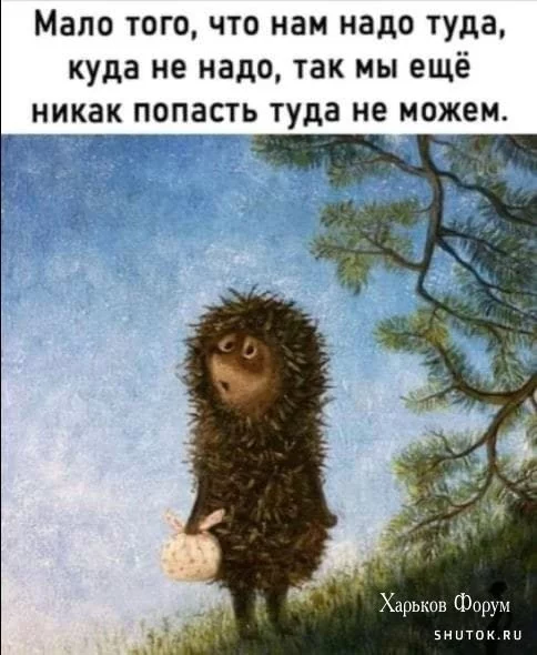 ee170c7973a5530ff1e.webp