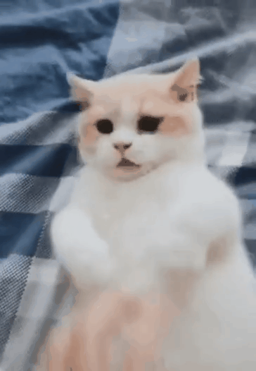 ee1b504af5e65cd990b6031.gif