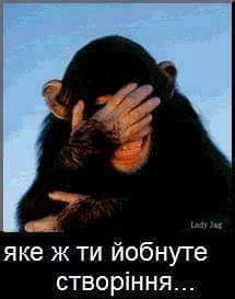 ee2bbj.webp