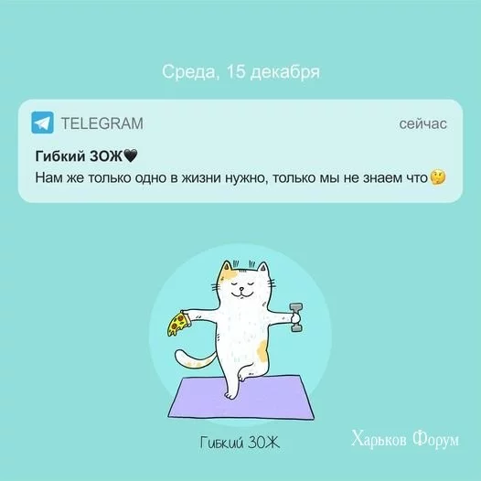 ee366116e0d4f3e84c13.webp