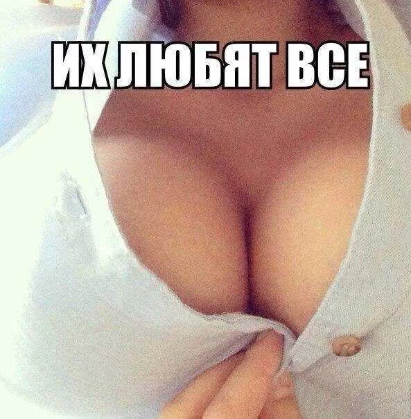 ee483d76a6c9ba6e589d32d489db6f42.webp