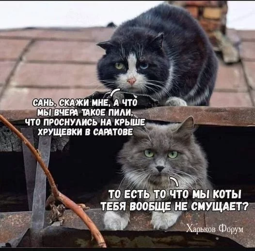 ee56f42da6083e20f199f0.webp
