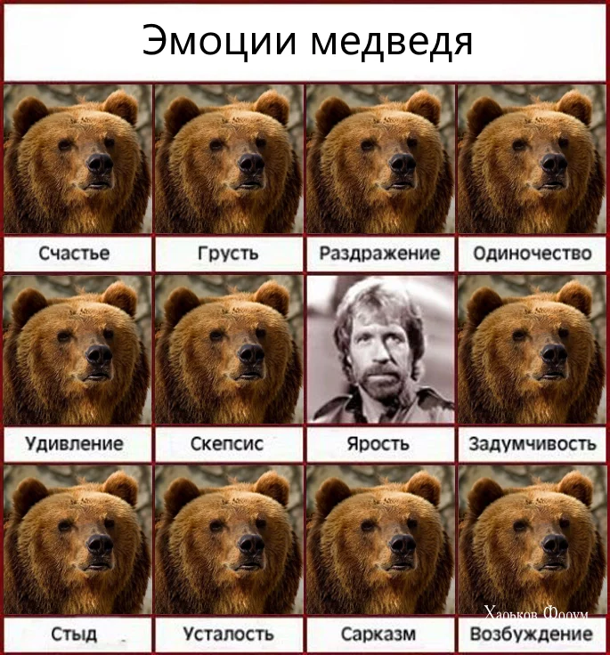 ee79b8b9983202259e60d74.webp