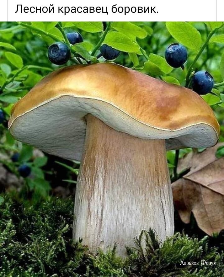 ee7c24fa456f23c62463e.jpg