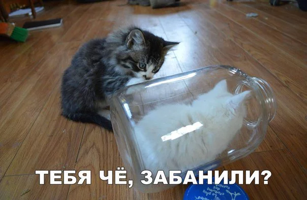ee7edg.webp