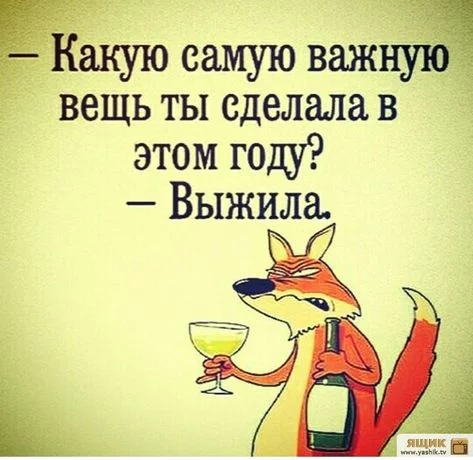ee8242af3beeda6f08cff725a4941803.webp