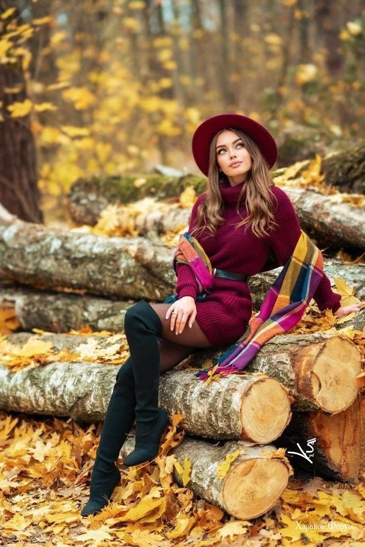 ee82509171b55f638.webp