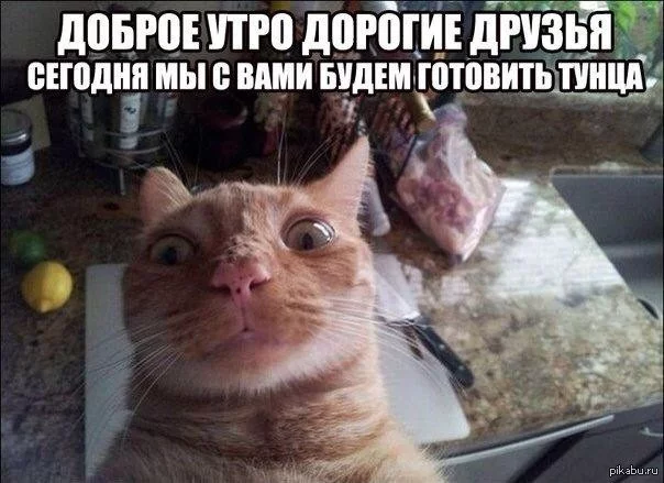 ee9gbb.webp