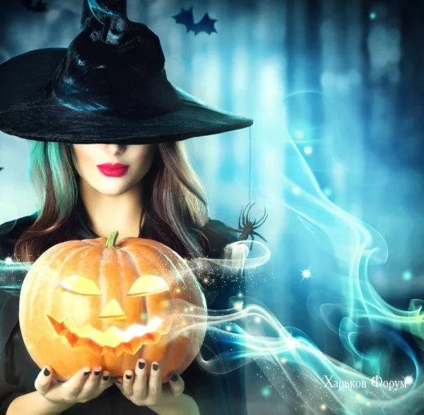eecd57089fb6dc6c2181.webp