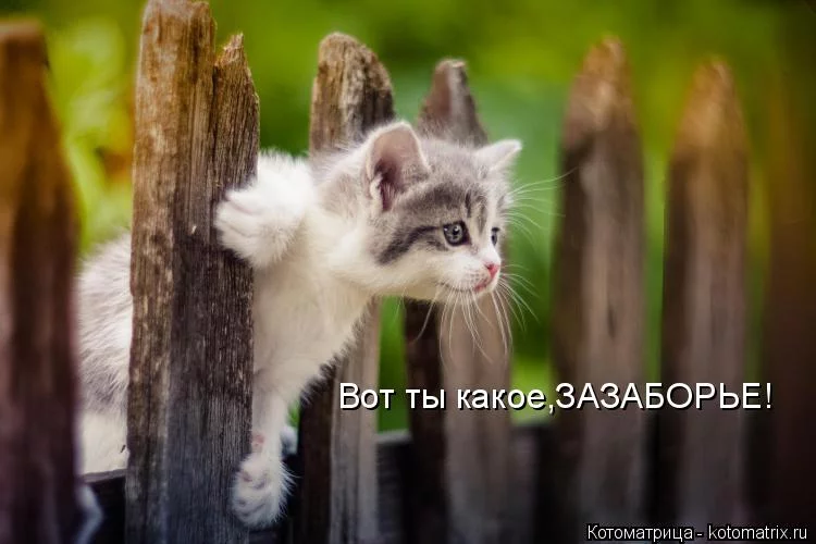 eee8ea.webp