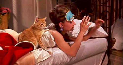 eeeff43b5f08e736a.gif