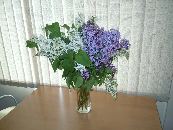 eef4hg.webp