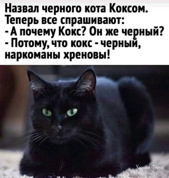 eef91149fa613b5a466e4.webp